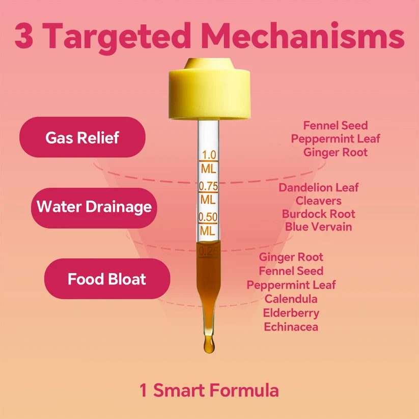 Cutting Drops - Lymphatic Drainage Drops for Bloat Relief & De-Puff Support Dandelion & Berberine - Natural Detox Support, Fluid Balance, Appetite Balance & Metabolic Support